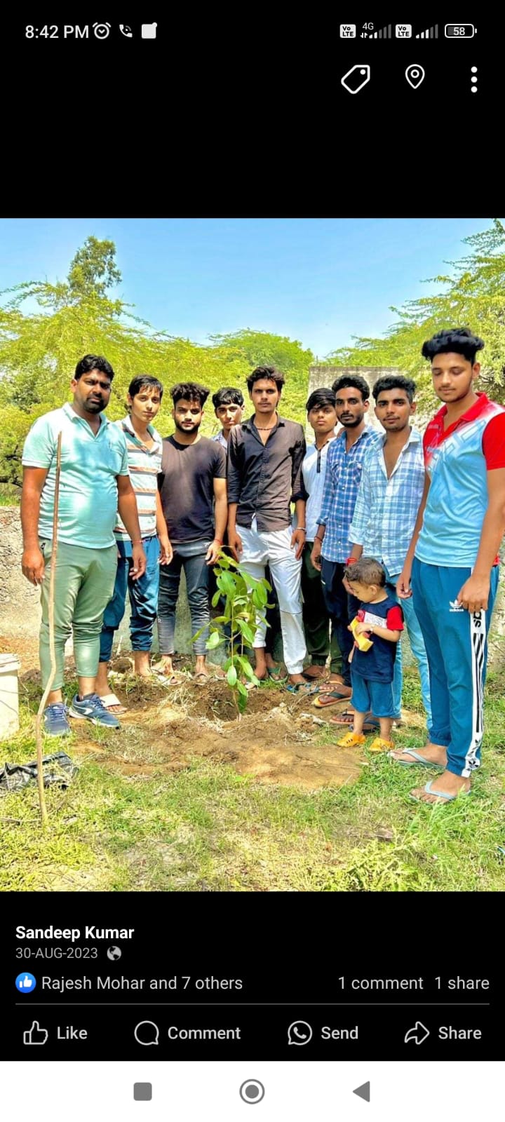 पौधारोपण - फोटो 11