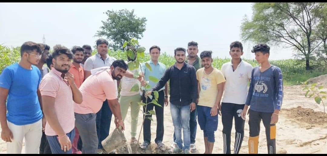पौधारोपण - फोटो 2