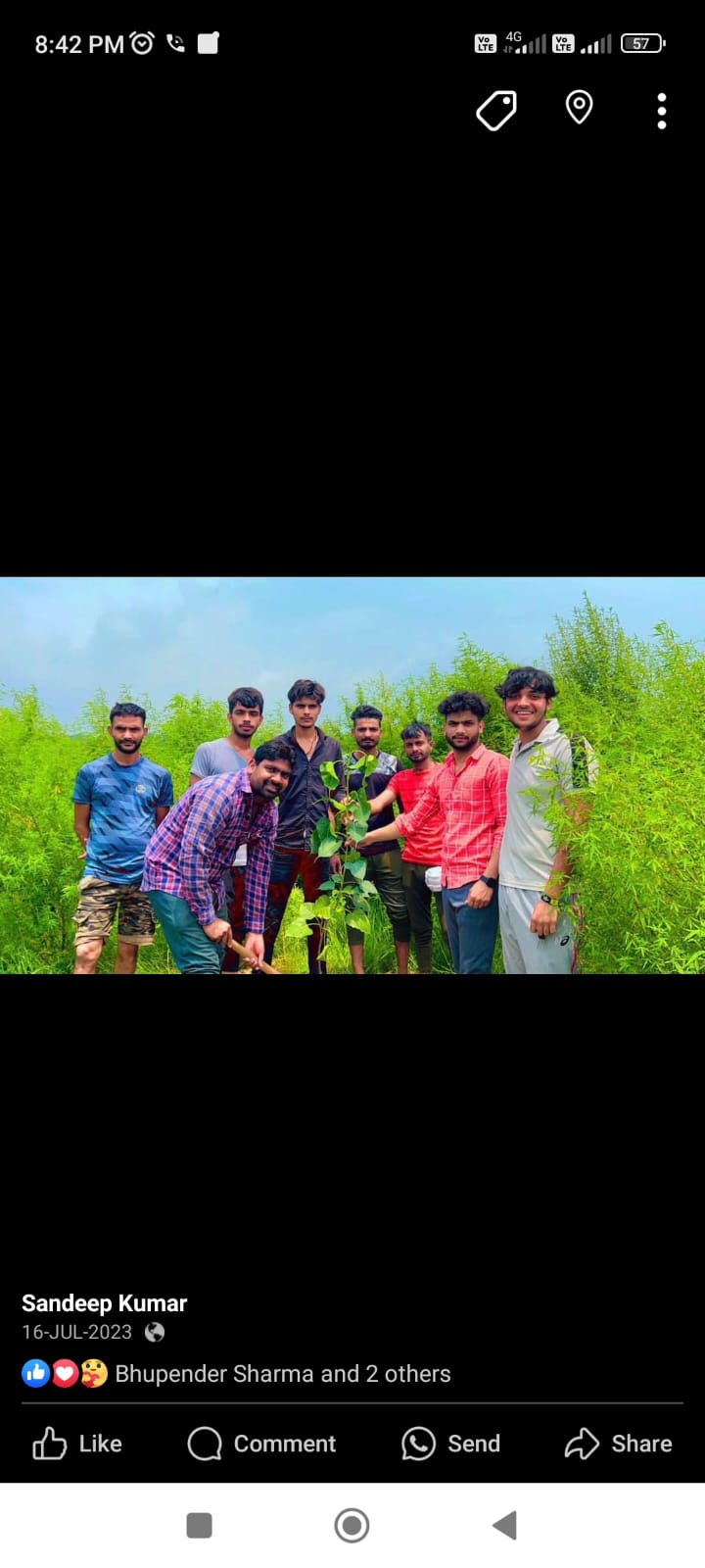 पौधारोपण - फोटो 5